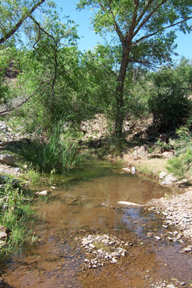 [ Antelope Creek ]